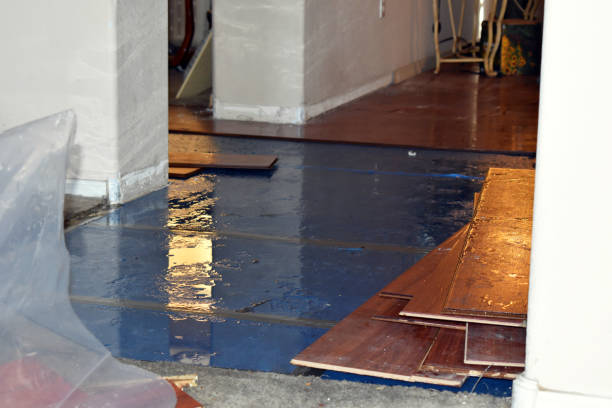 Professional Water Damage Restoration technician working in Thorndike, ME